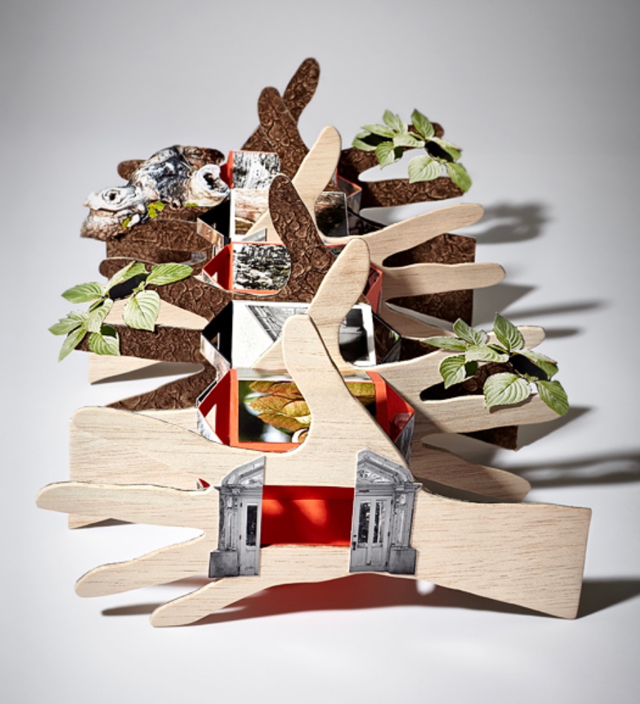 An artistic installation featuring wooden elements shaped like hands, interspersed with small plants and photographs. The structure has red accents and combines natural and photographic elements to create a unique visual arrangement.