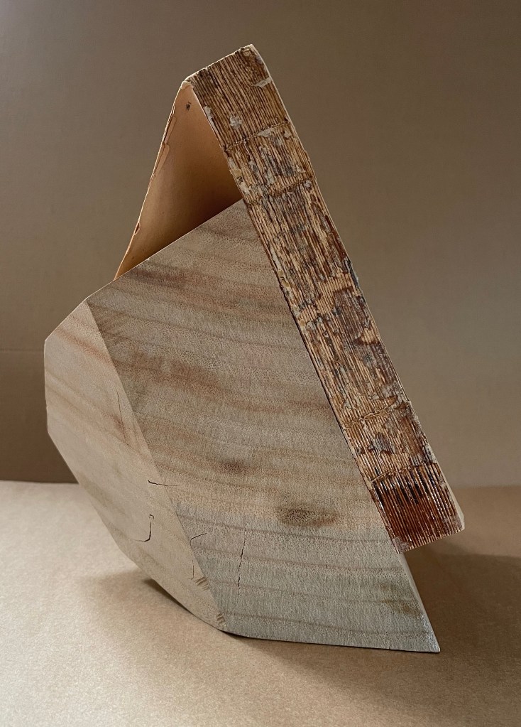 An abstract sculptural piece resembling a book, made from a camphor tree stump, featuring a curved top edge and textured wood grain.
