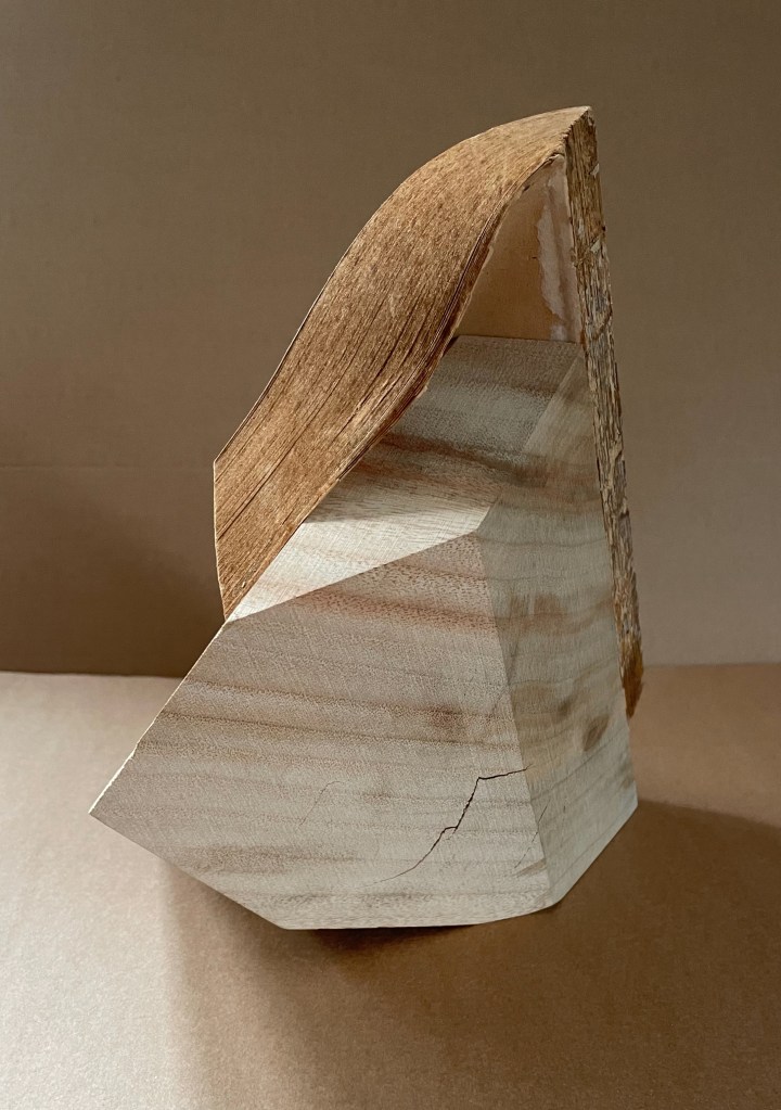 A sculptural representation of a book, crafted from a camphor tree stump, featuring angular geometric shapes and layers of textured wood, emphasizing the relationship between form and material.