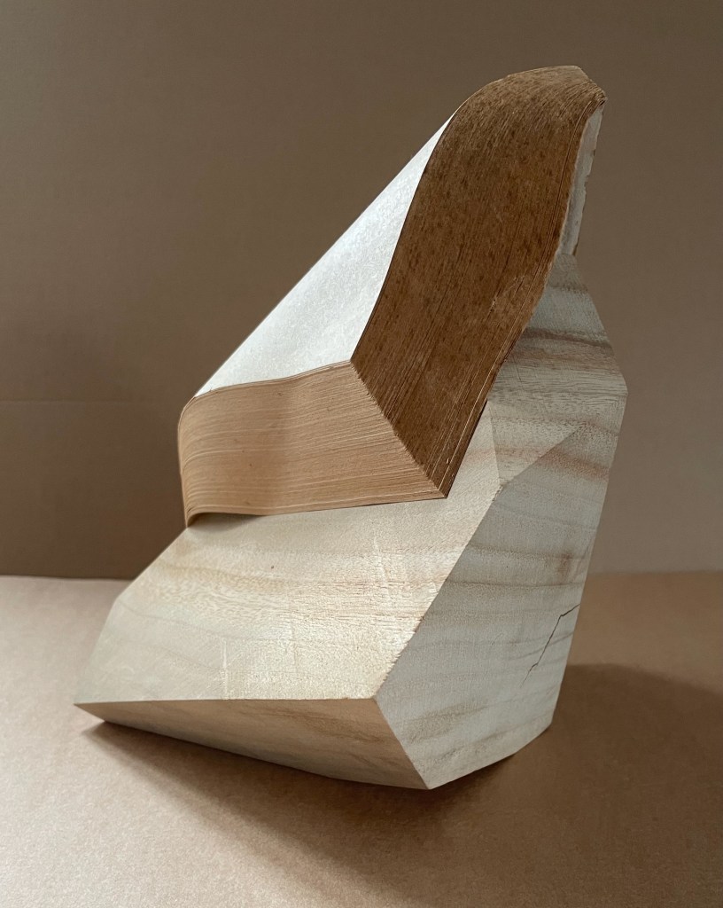 A sculptural artwork made of a camphor wood block, resembling an abstract book with an angled edge and loose pages. The surface features a combination of natural wood texture and smooth paper.