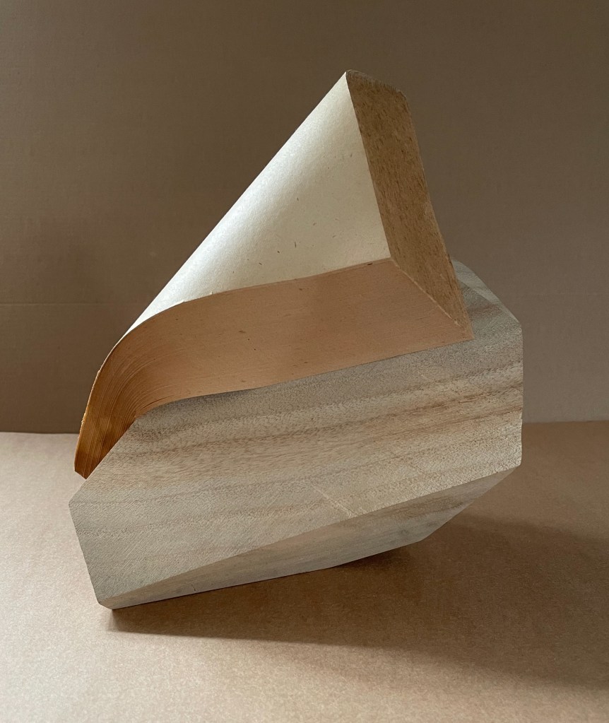 An artistic representation of an altered book titled 'Silent Book, vol. 11' by Ryuta Iida, featuring a sculpted camphor wood block with a partially folded sheet of paper.