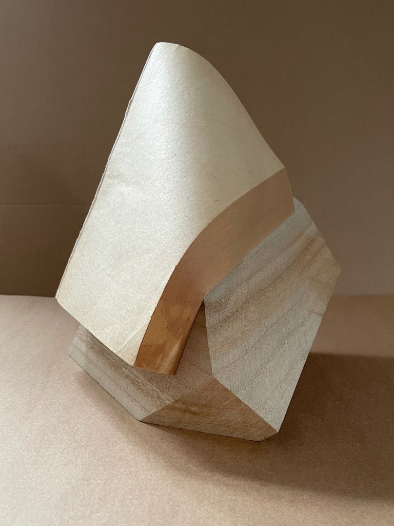 A sculptural piece resembling a book, crafted from camphor wood with a curved, abstract shape and a smooth surface, sitting on a neutral background.