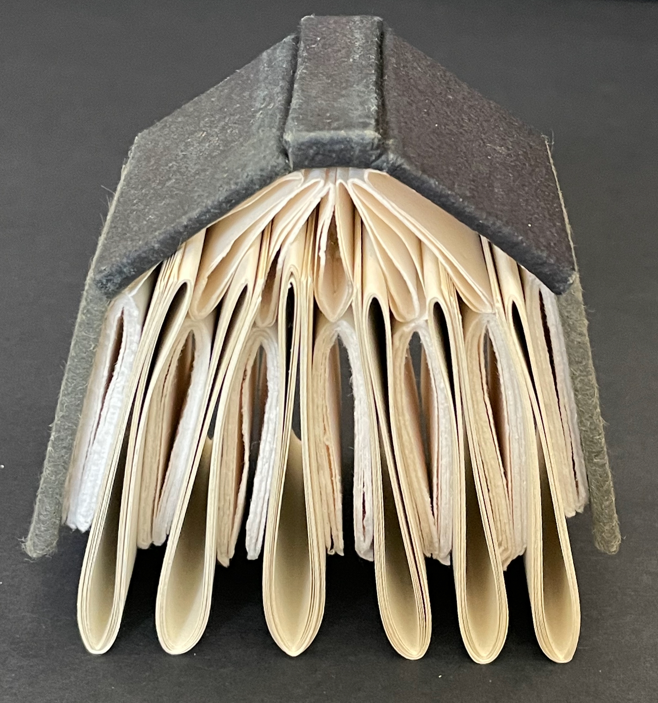 Artistic representation of a book shaped like a house, showing the spine and opened pages.