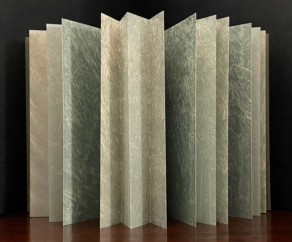 An artistic display of textured paper folded into multiple sections, arranged in a fan shape against a dark background.