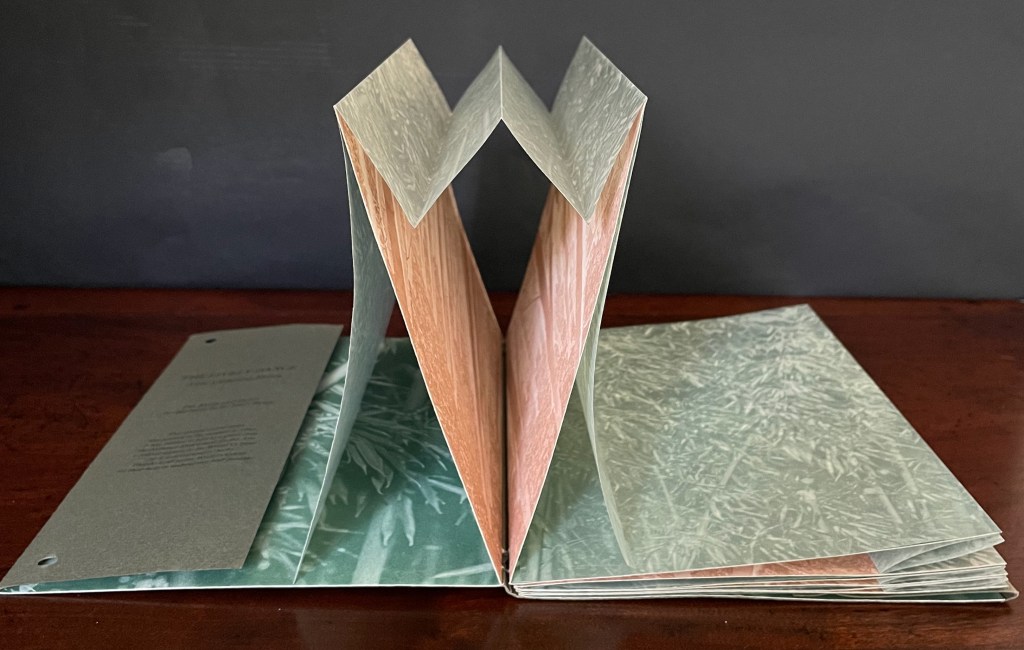 An open book with pages displaying textured designs, featuring natural elements and colors, resting on a wooden surface against a dark background.