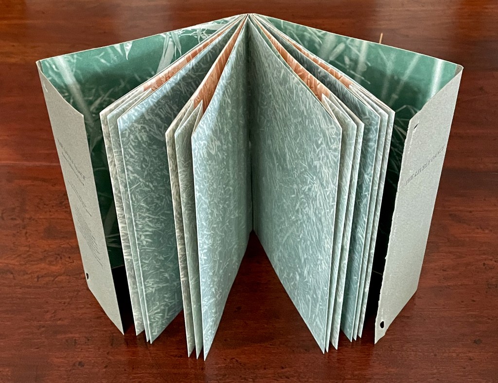 An open book with textured green and patterned pages, displayed on a wooden surface.