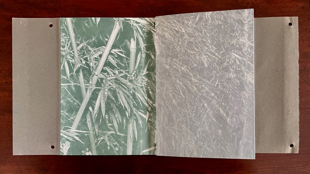 Open book displaying a printed image of bamboo leaves on one page, with translucent paper covering the other page.