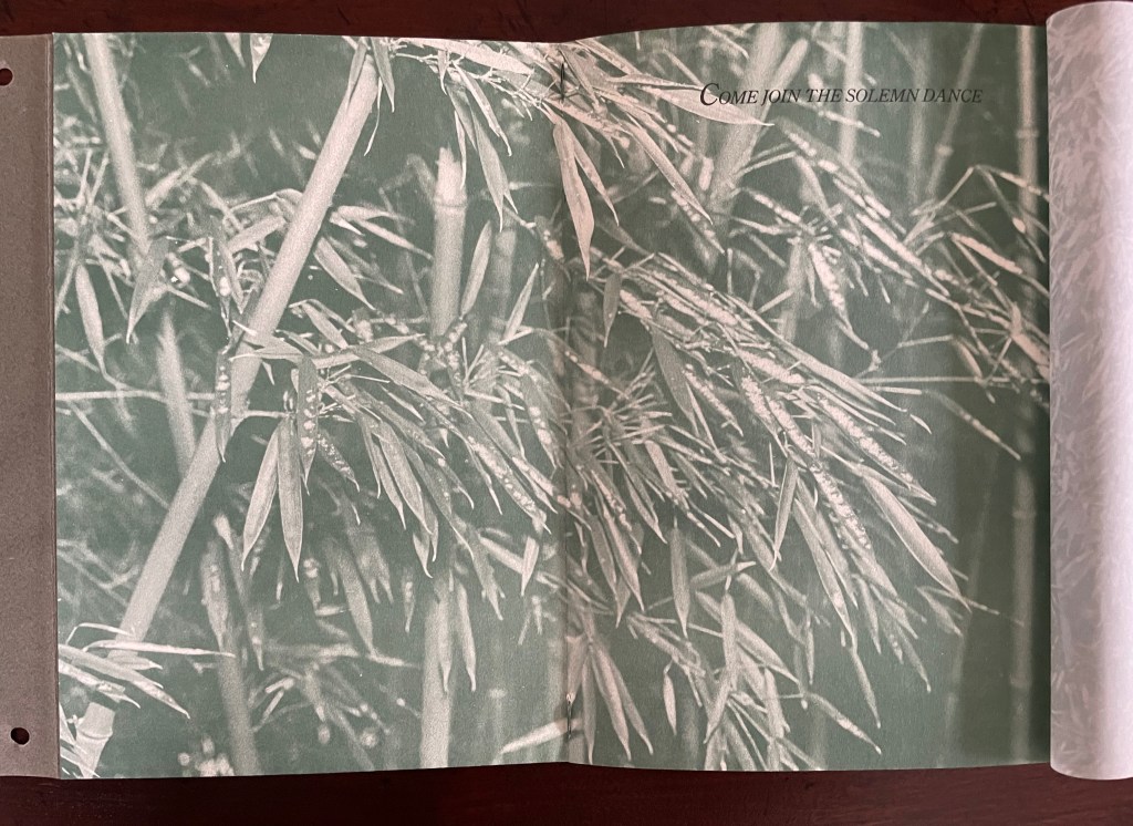 A close-up of bamboo leaves with a soft green filter, featuring the text 'Come join the solemn dance' in an elegant font.