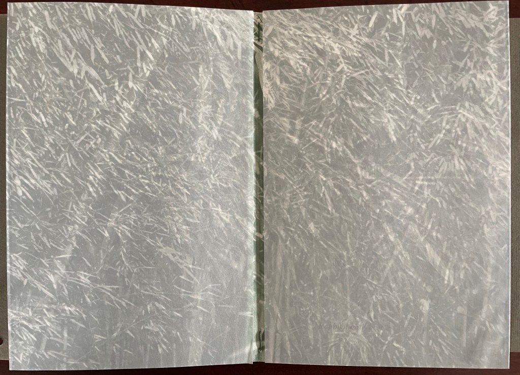 An open book with blank pages, showing a textured light gray background.