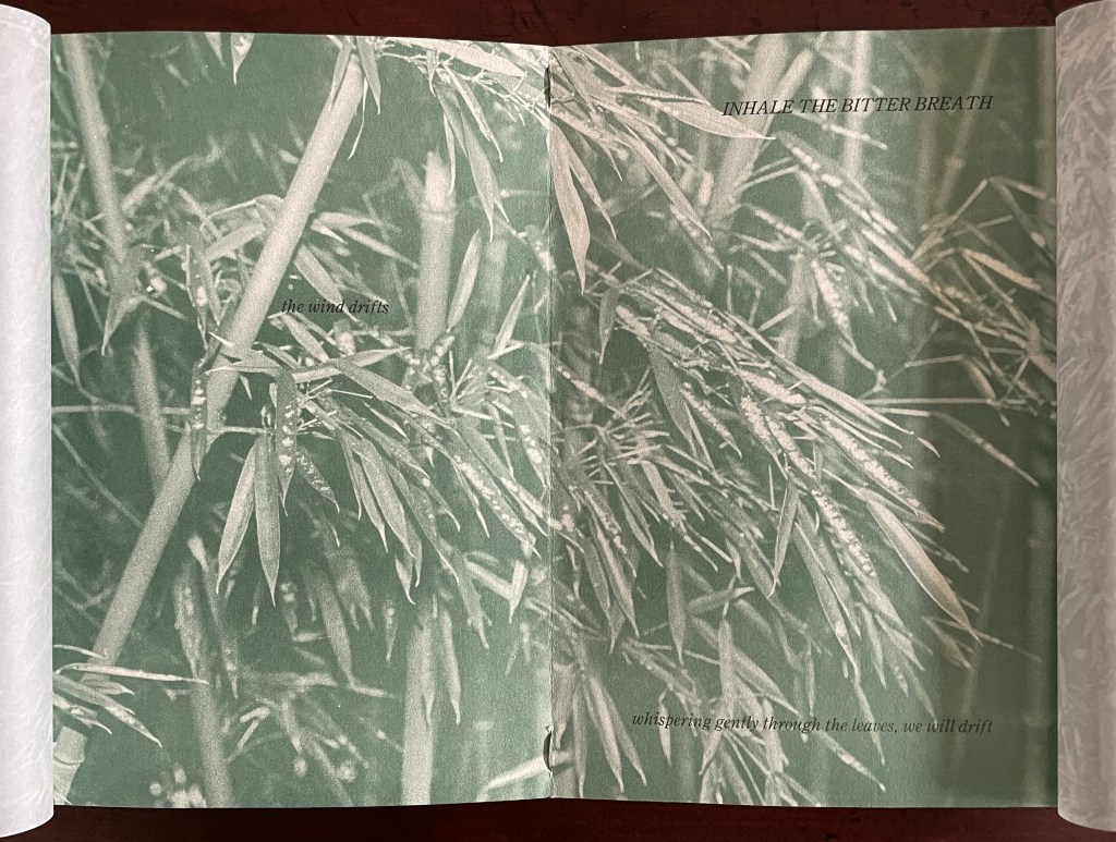 A close-up of bamboo leaves with a faded green overlay, featuring text that reads 'inhale the bitter breath' and 'the wind drifts' placed artistically among the foliage.