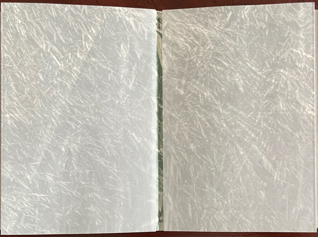 Open book pages with a textured, light-colored background.