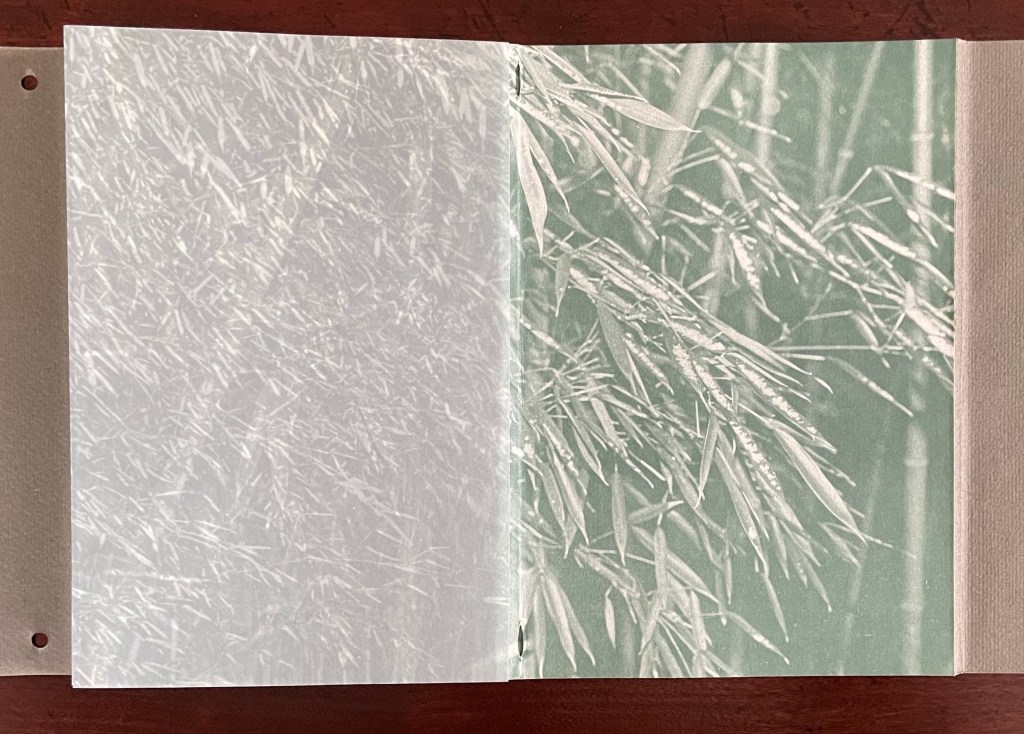 A close-up view of an open book showing a faded, artistic representation of bamboo leaves on a translucent page, with a textured background.
