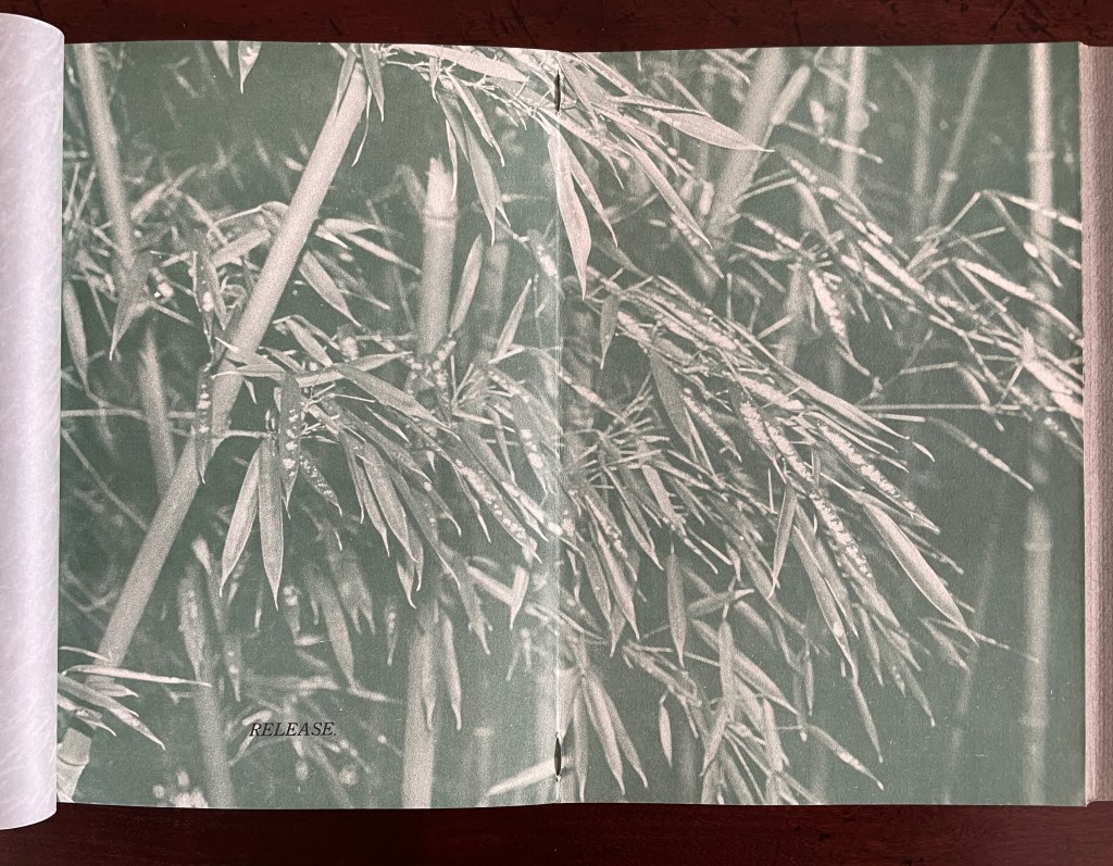 A close-up image of bamboo leaves and stems, featuring a muted green color palette. The word 'RELEASE' is visible in the lower section of the image.
