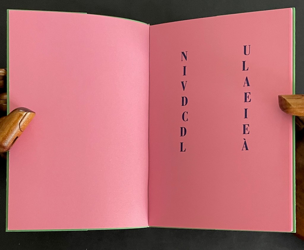 An open book displaying two pages with a pink background. The left page features the text 'NIVDCDL' in dark blue letters, while the right page shows 'ULAEIEA' also in dark blue letters.