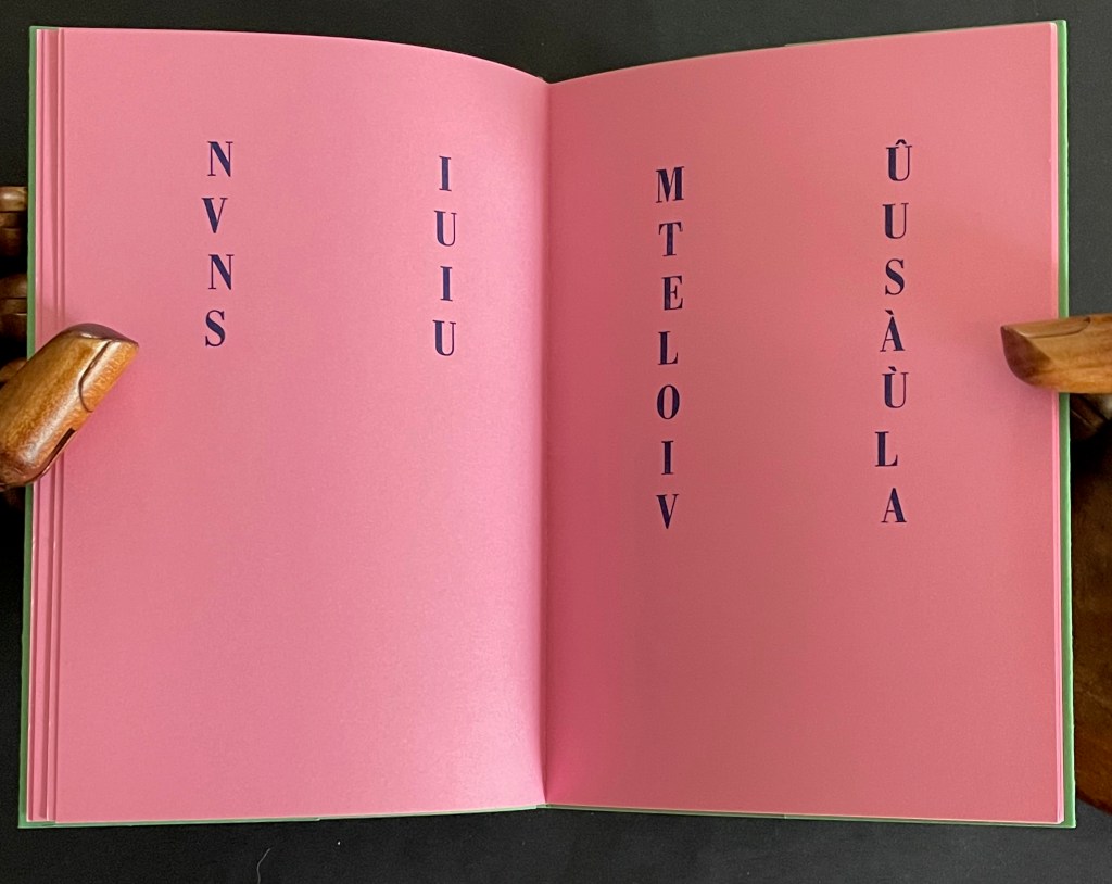 An open book with pink pages displaying vertically arranged words: 'NVNS', 'IUIU', 'MTELOIV', and 'ÛSÂULA'.