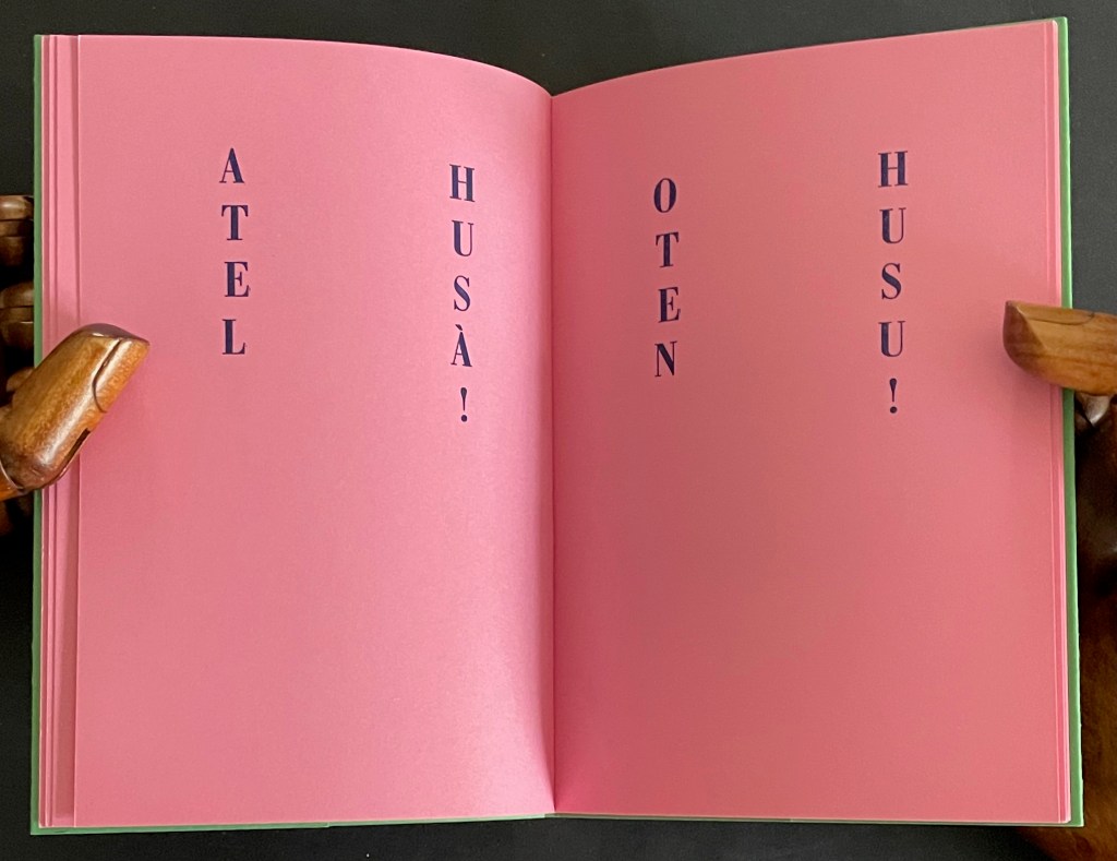 Open pink book pages with text 'ATEL!', 'HUSÅ!', 'OTEN!', and 'HUSU!' in dark blue font.