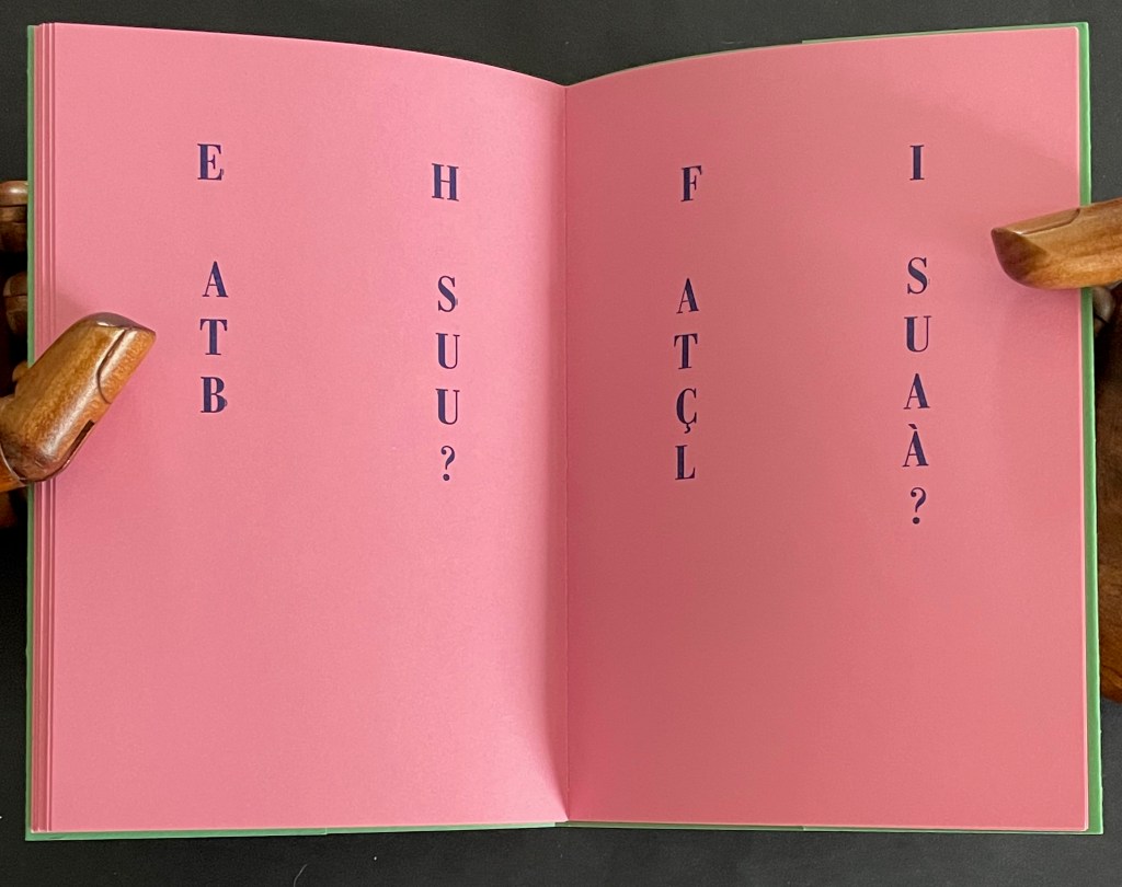 Open book with pink pages displaying vertical text on each side: 'EATB', 'H', 'SUU?', 'F', 'ATÇL', 'I', 'SUAÀ?'