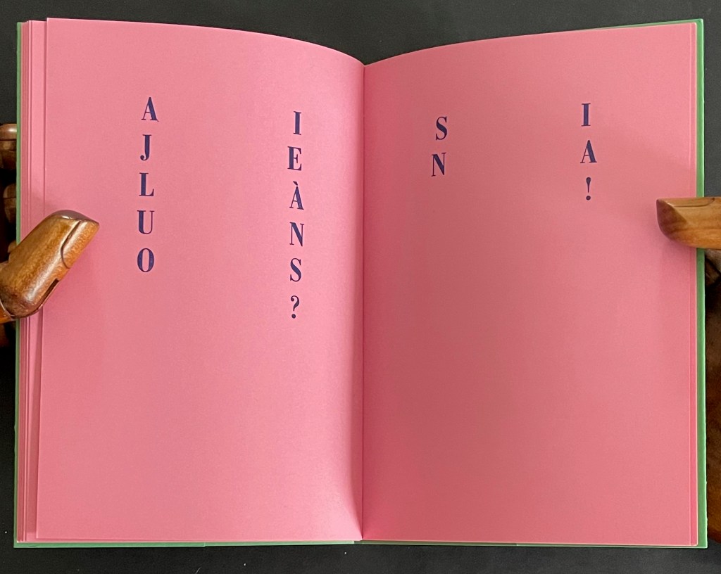 Open book with pink pages featuring vertical text arranged in a playful, artistic manner.