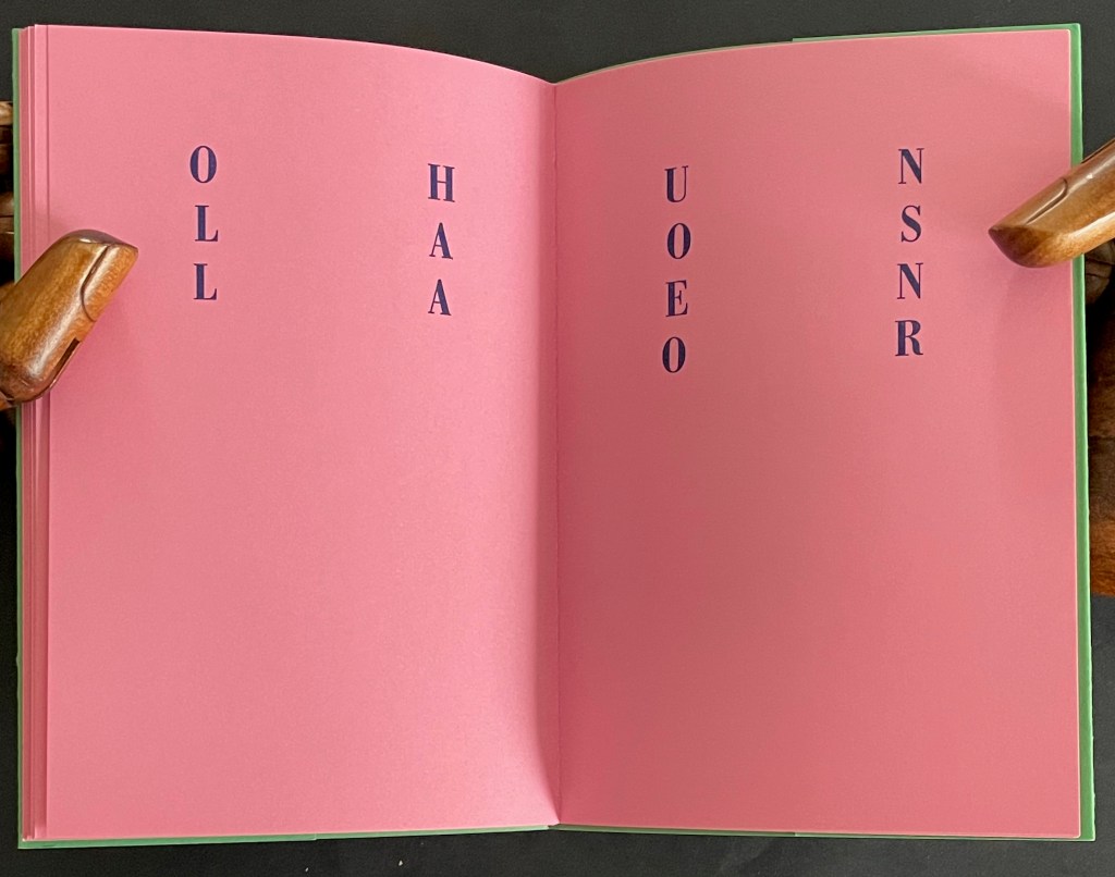 An open book with blank pink pages featuring large, dark blue letters arranged vertically: OLL, HAA, UOE, and NSR.