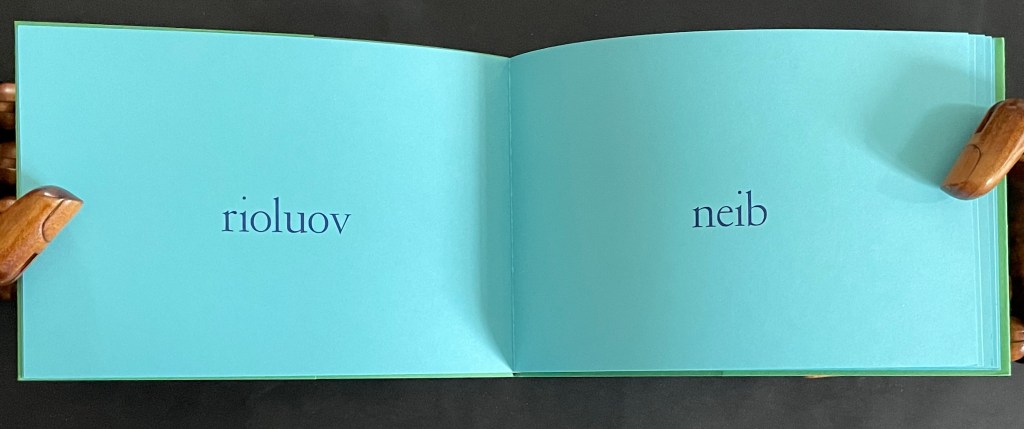 An open book with turquoise pages displaying the words 'rioluov' and 'neib' in elegant font.