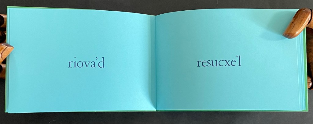 Open book displaying the words 'riova'd' and 'resucxe'l' on turquoise pages.