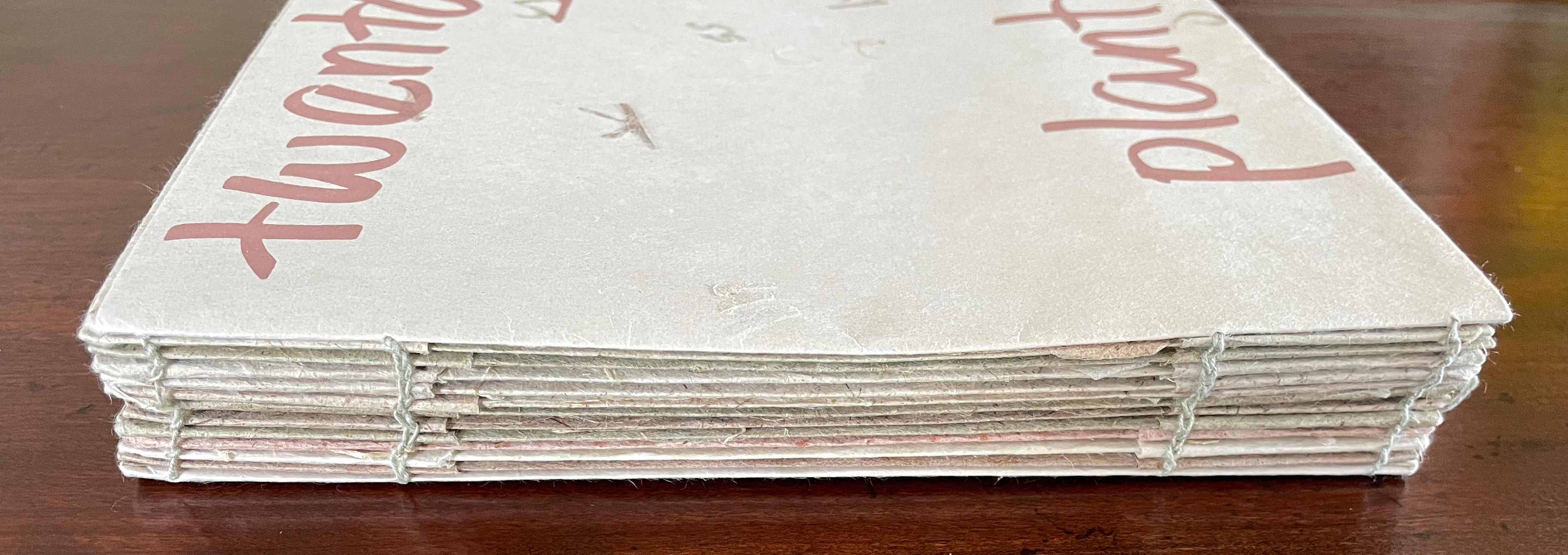 A stack of bound paper with the words 'Twenty Plants' printed on the cover, resting on a wooden surface.