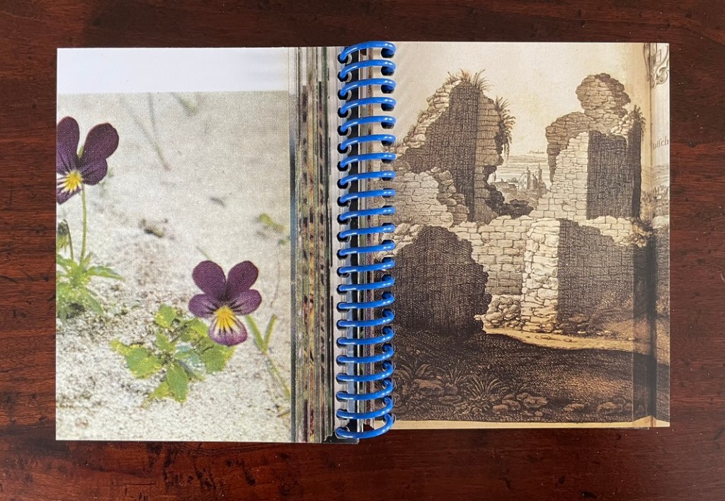 A spiral-bound open book displaying two pages: the left features a close-up photograph of purple flowers, while the right displays an illustration of ancient ruins.