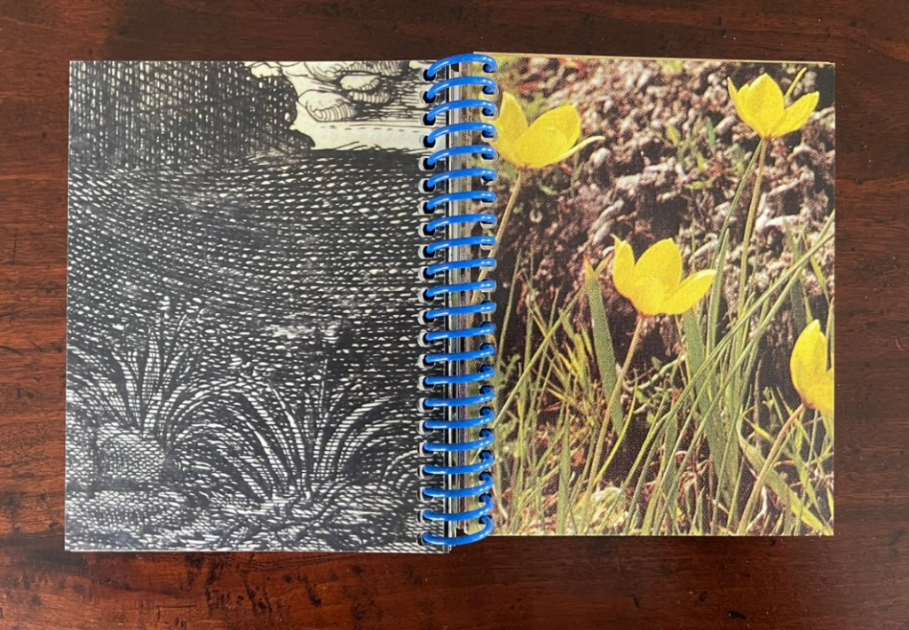 An open spiral-bound notebook featuring a black and white abstract design on the left page and a vibrant image of yellow flowers against a natural background on the right page.