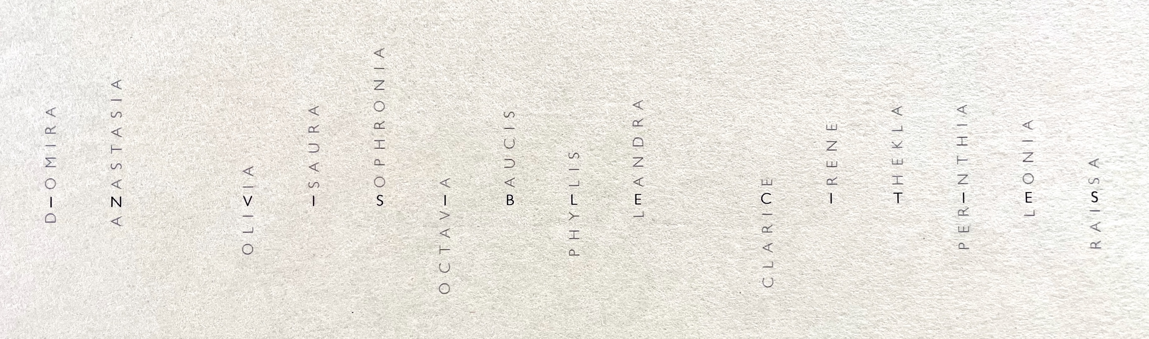 A minimalist design featuring vertical text listing names on a textured background.