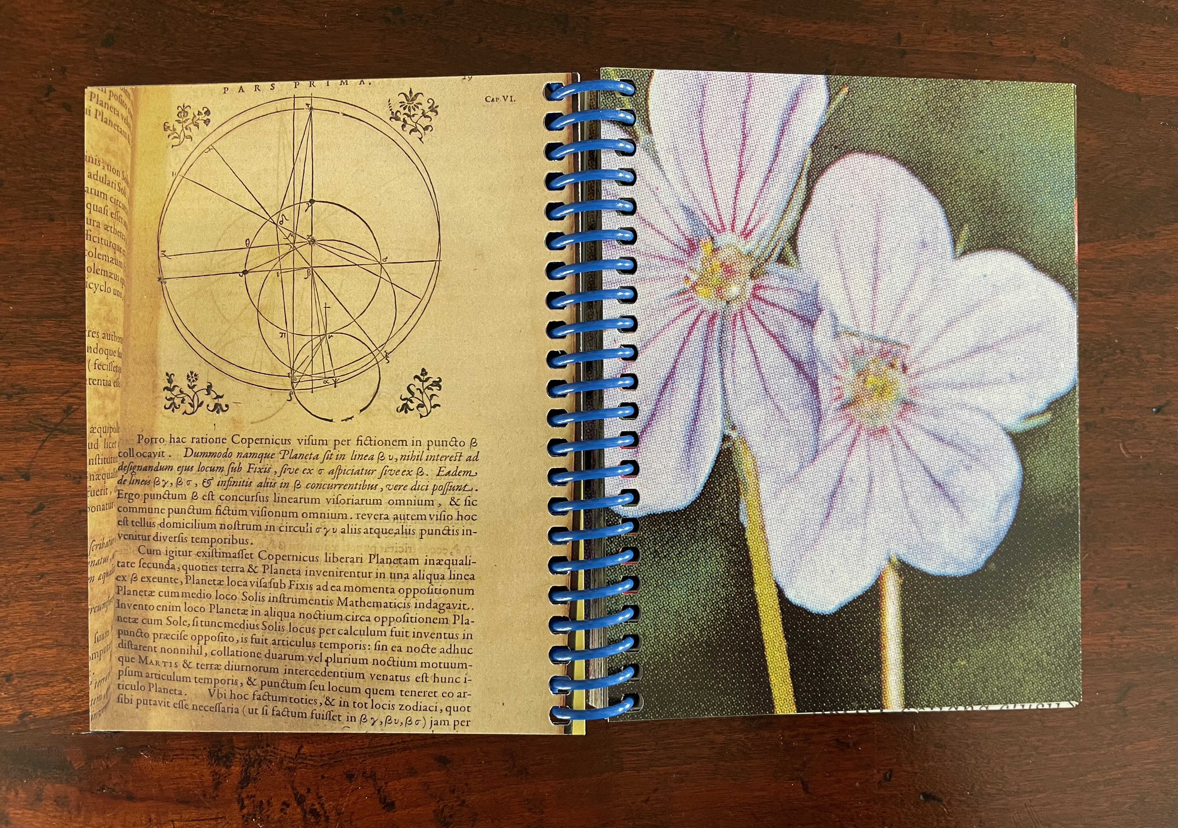 Open notebook displaying geometric diagrams on the left page and a close-up image of two white flowers with pink accents on the right page.