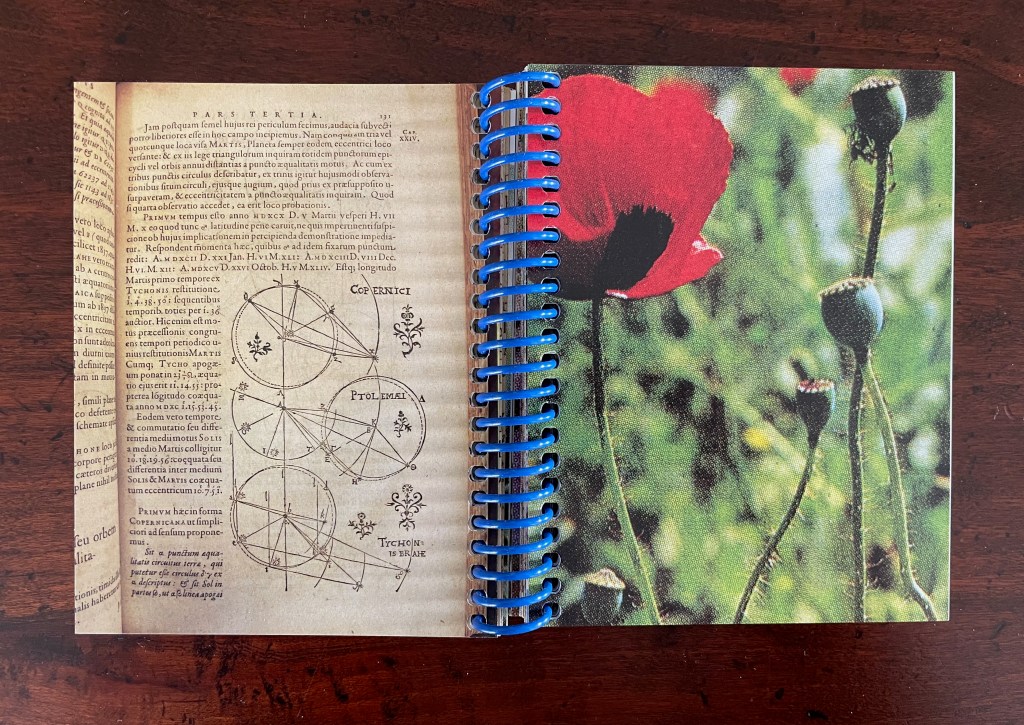 A close-up view of an open spiral-bound notebook featuring a page with printed text in a vintage style on the left and a vibrant image of red poppy flowers on the right.