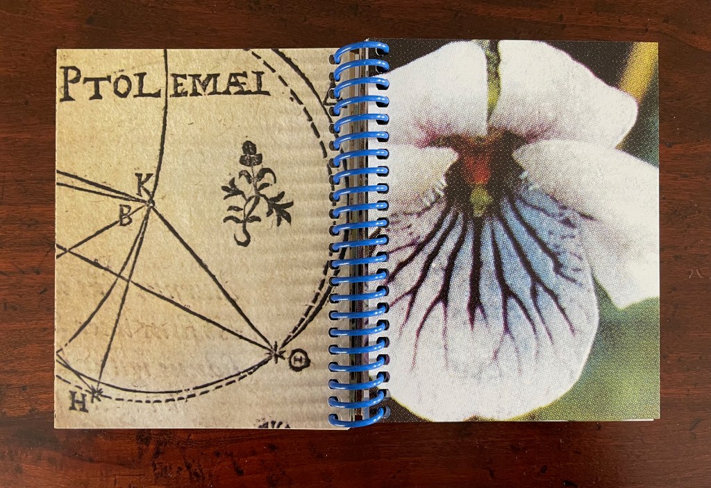 An open spiral-bound notebook featuring an illustration of a historical map with the text 'Ptolemai' on one side, and a close-up photo of a flower on the other.