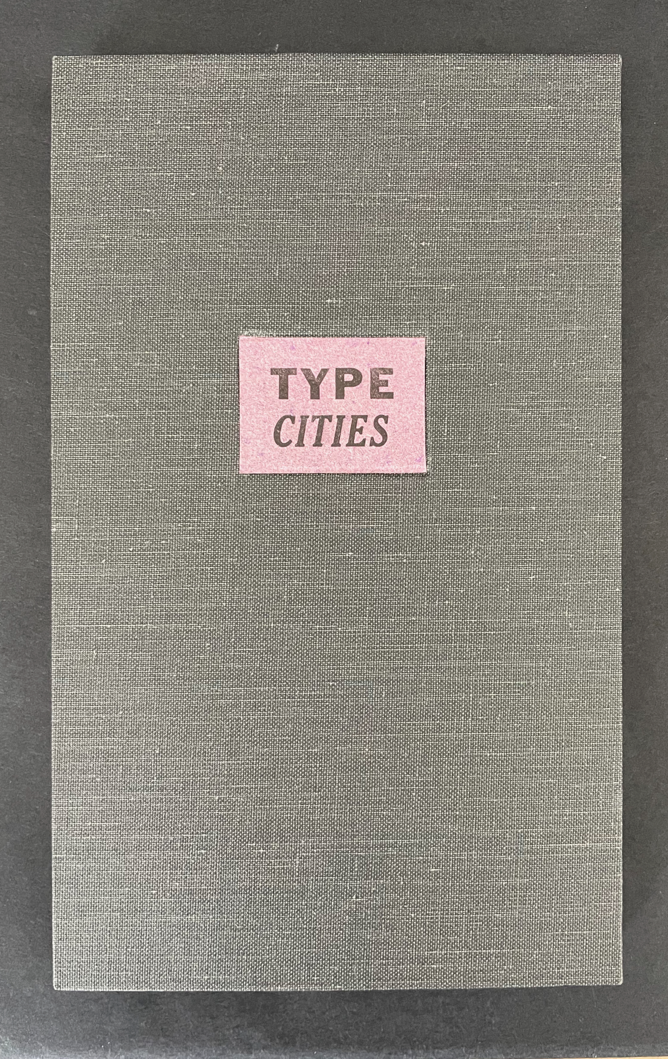 A book titled 'TYPE CITIES' with a pink label on a textured gray cover.