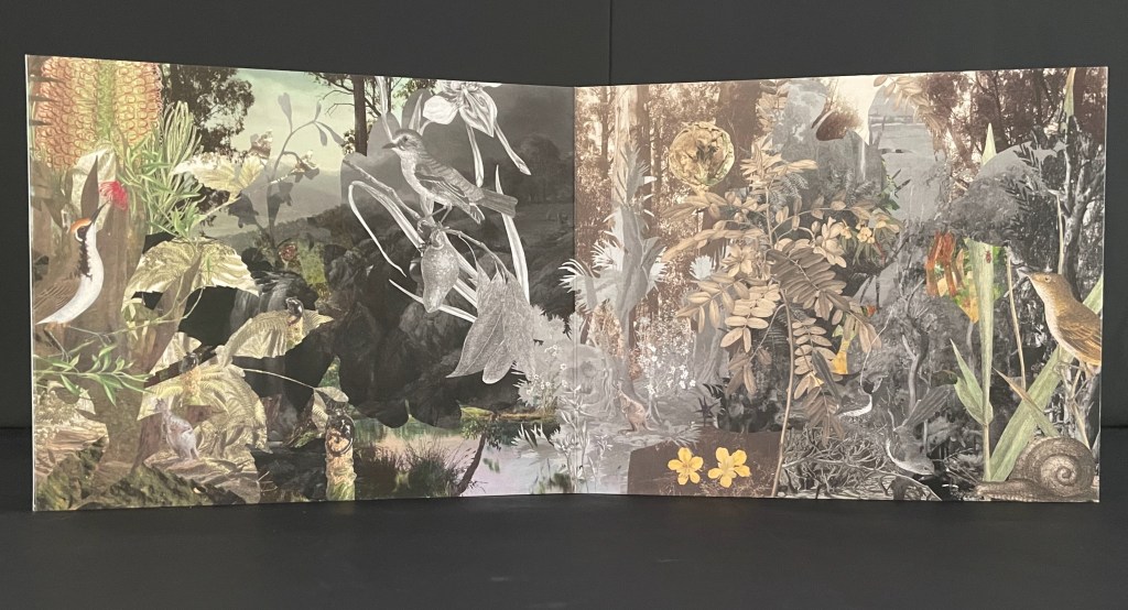 A collage of various birds and plants in a natural landscape, featuring detailed illustrations in both color and grayscale.