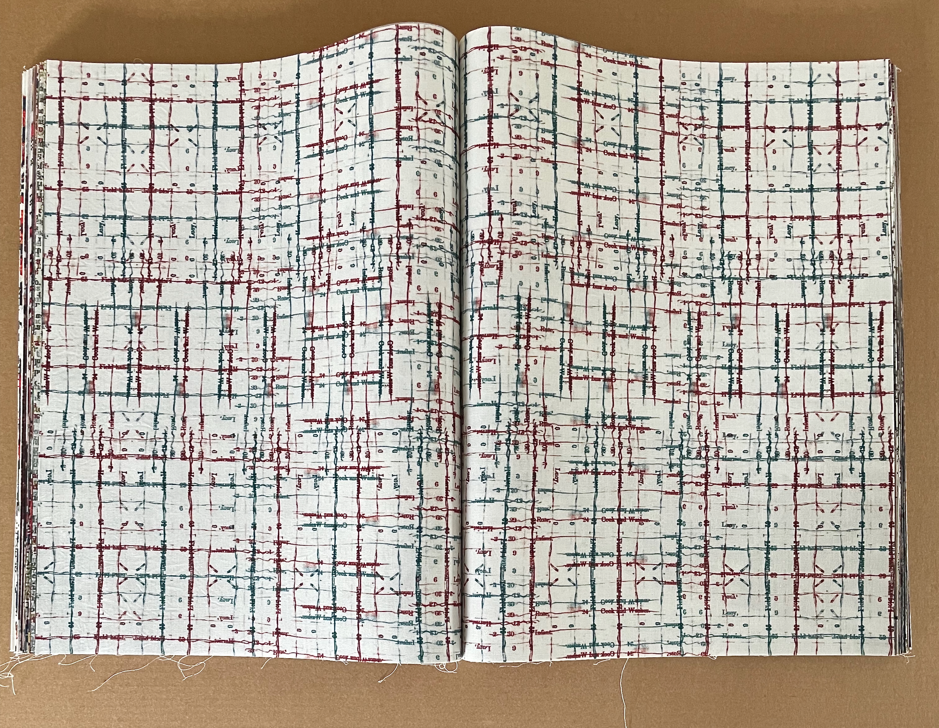 An open book displaying a patterned page with red and green abstract grid lines on a white background.