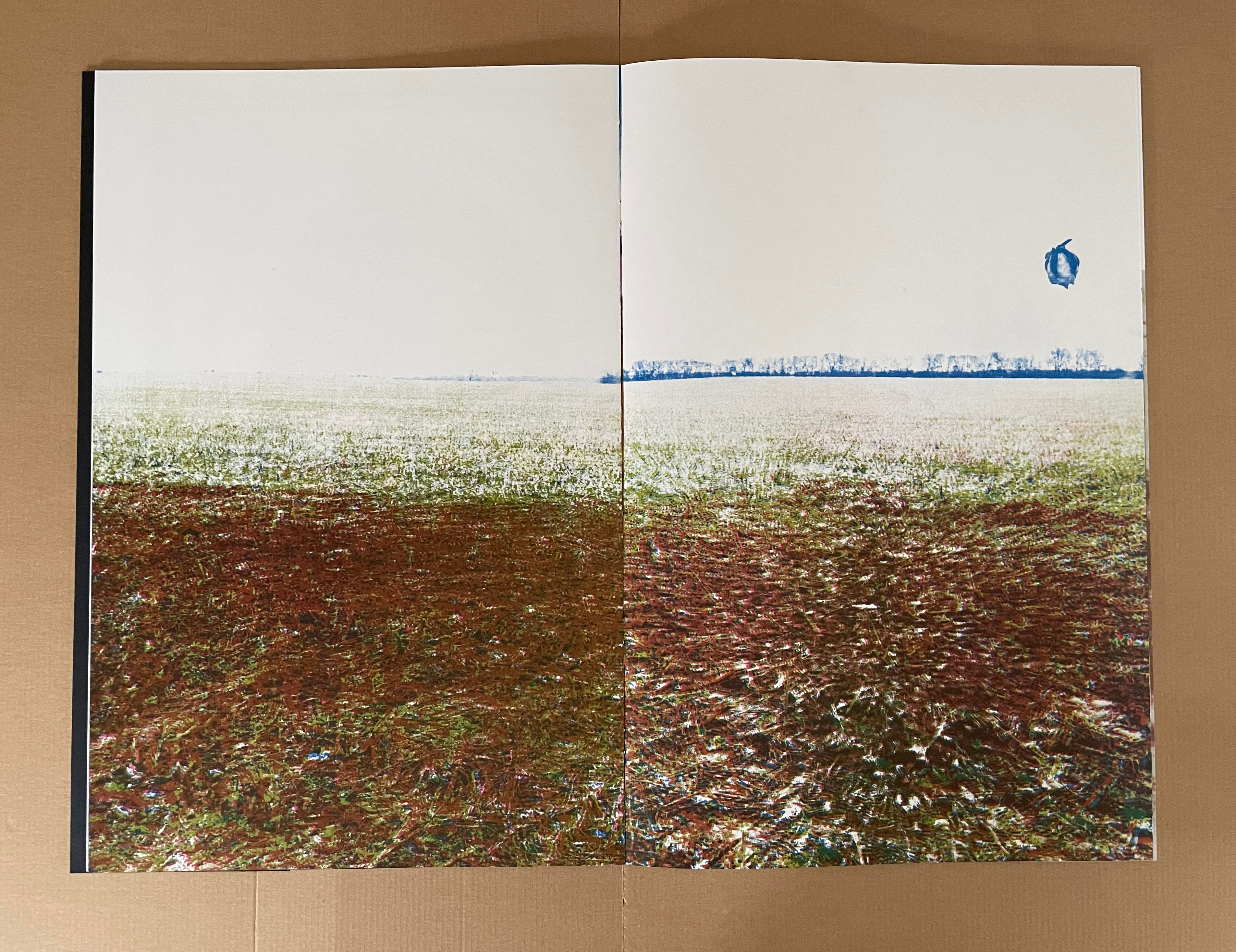 A spread of a book featuring a wide landscape image divided into two sections. The left side displays a brown and red textured ground with grass, while the right side shows a brighter, greenish field under a vast sky. A small blue shape is present in the upper right corner.