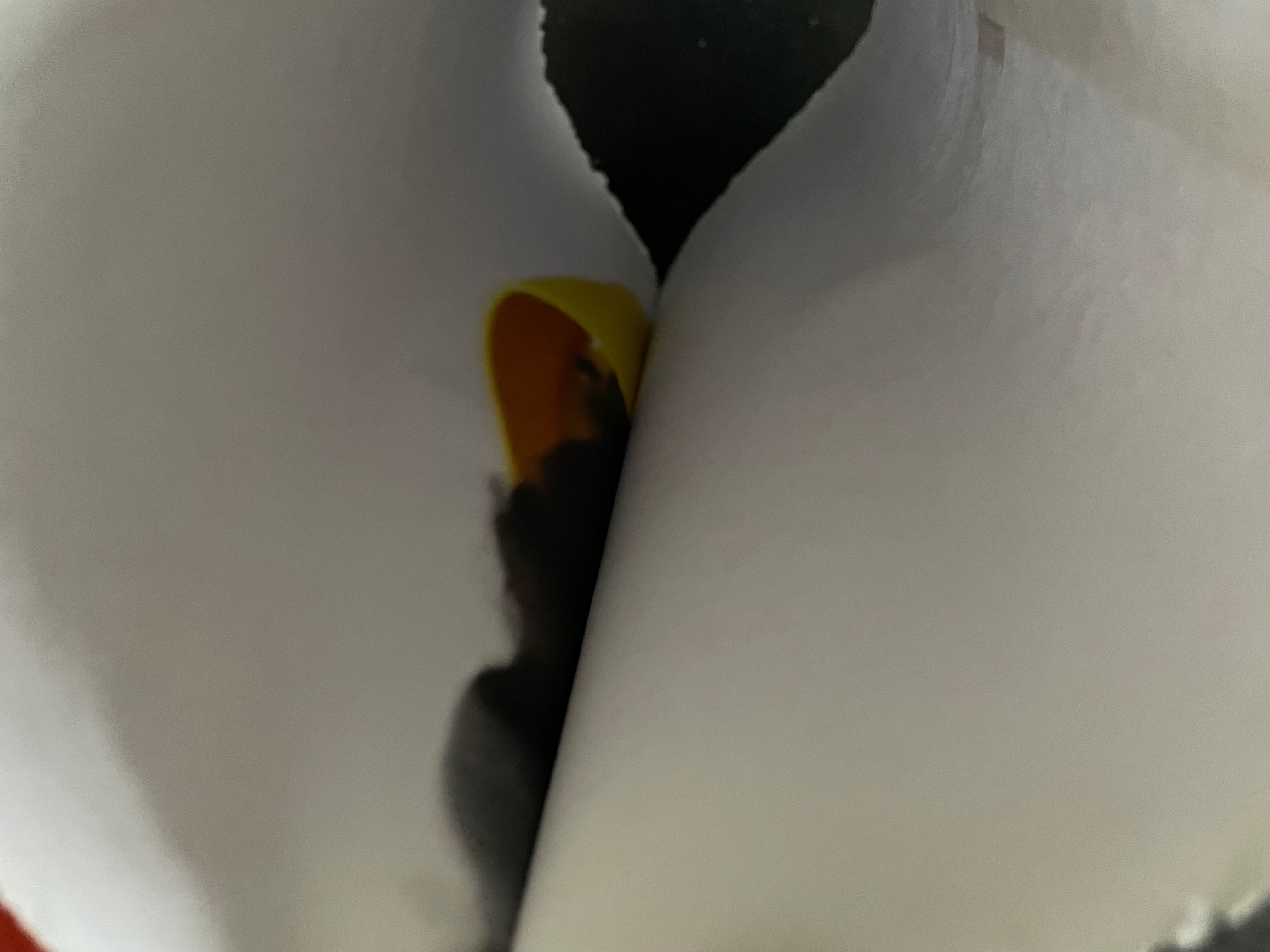 A close-up view of a folded paper or image, revealing a colorful yellow and black design within.