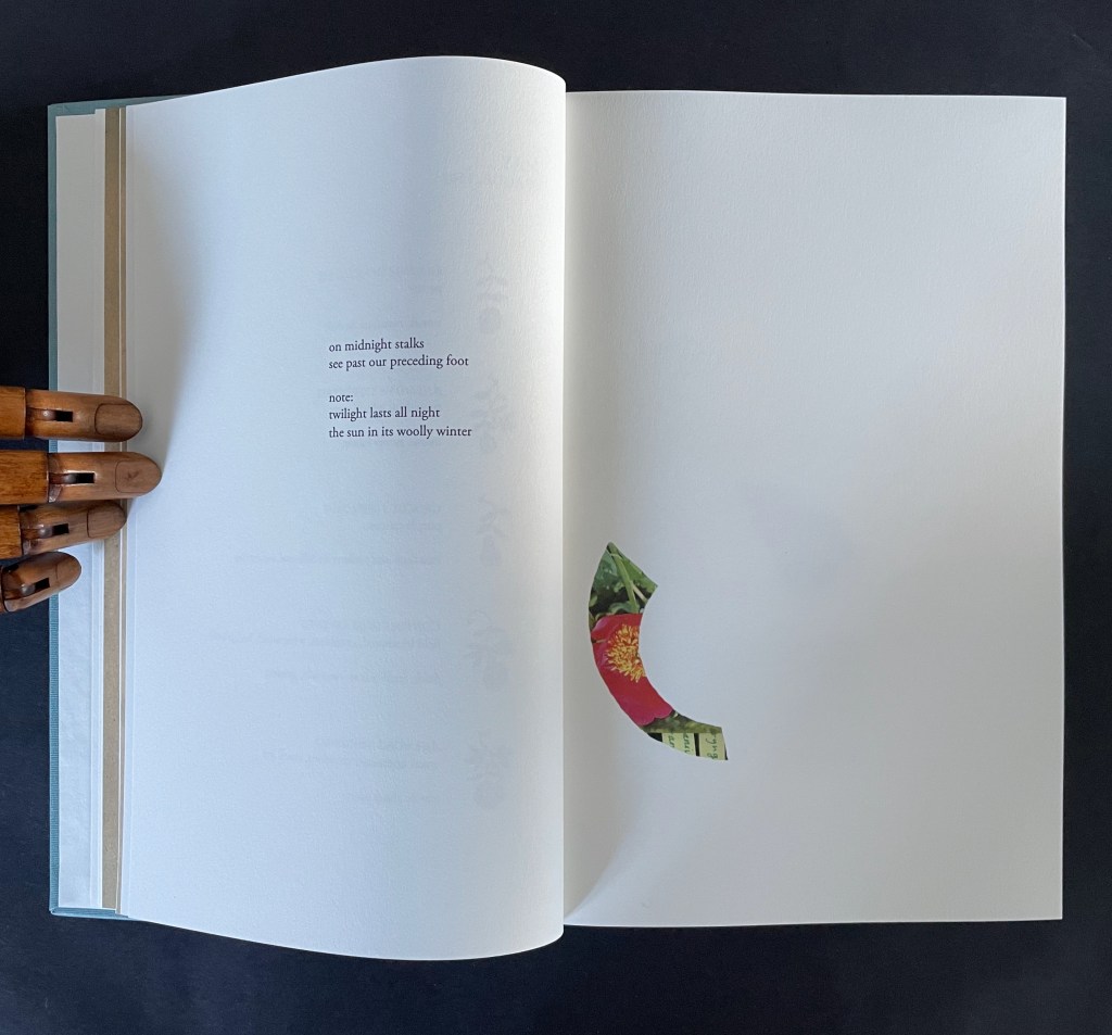 An open book with a poem displayed on the left page, accompanied by a colorful cut-out design on the right page featuring a flower and leaves.