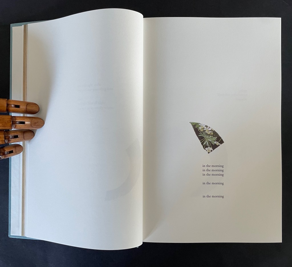 An open book with blank pages, a wooden hand model holding the left side, and a cut-out illustration of greenery with repeated text 'in the morning' on the right page.