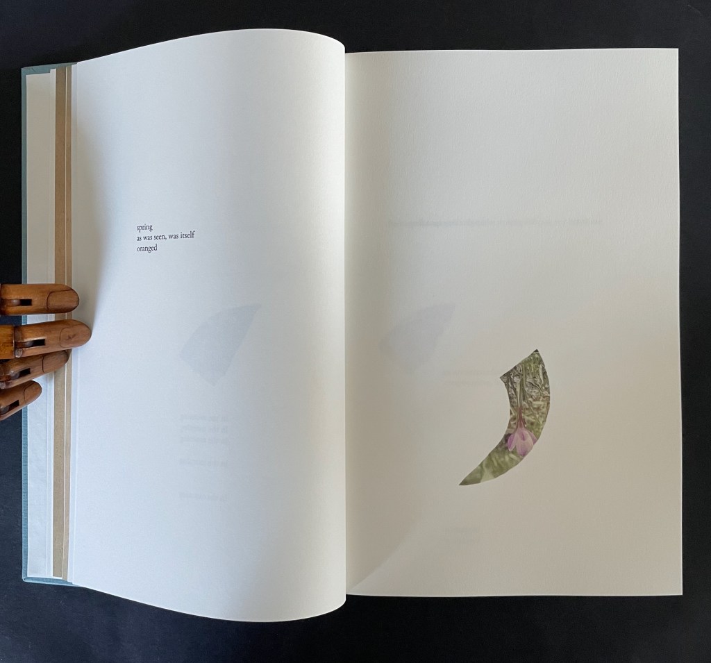 Open book spread with text on the left page and an image cutout on the right page, featuring a flower in a curved shape. A wooden mannequin hand holds the book from the bottom left.