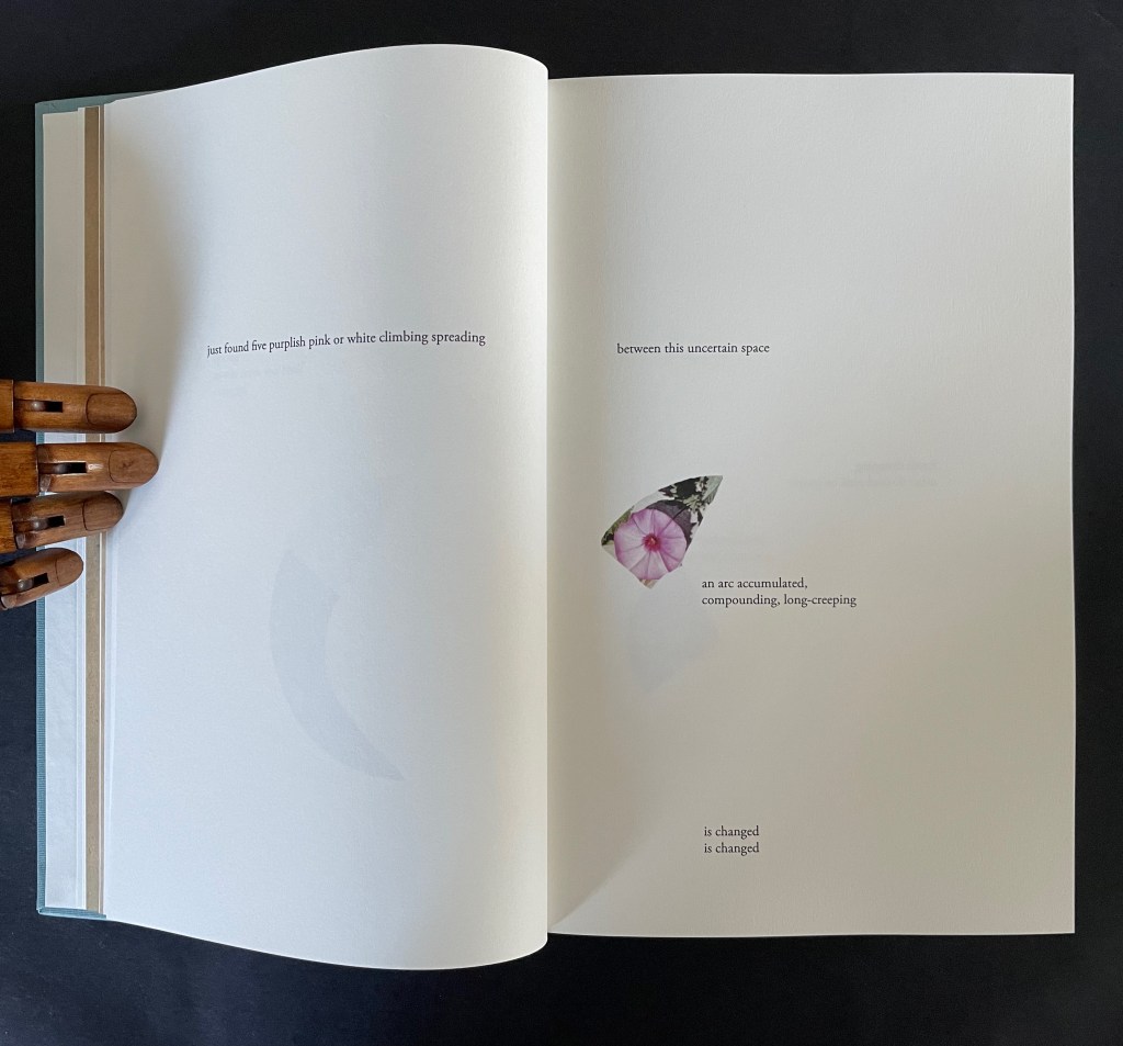 An open book with a hand holding it, displaying poetic text about flowers and change on the left page, with a floral illustration on the right page.