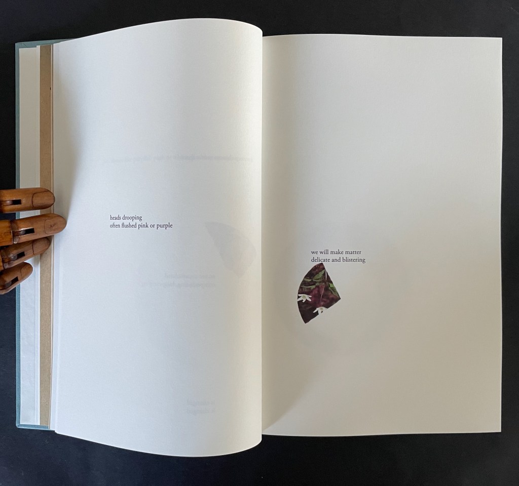An open book page with a wooden hand sculpture resting on the left side. The left page contains text about drooping heads, described as often flushed pink or purple. The right page features an artistic fragment of text stating 'we will make matter delicate and blistering' alongside a small visual element.