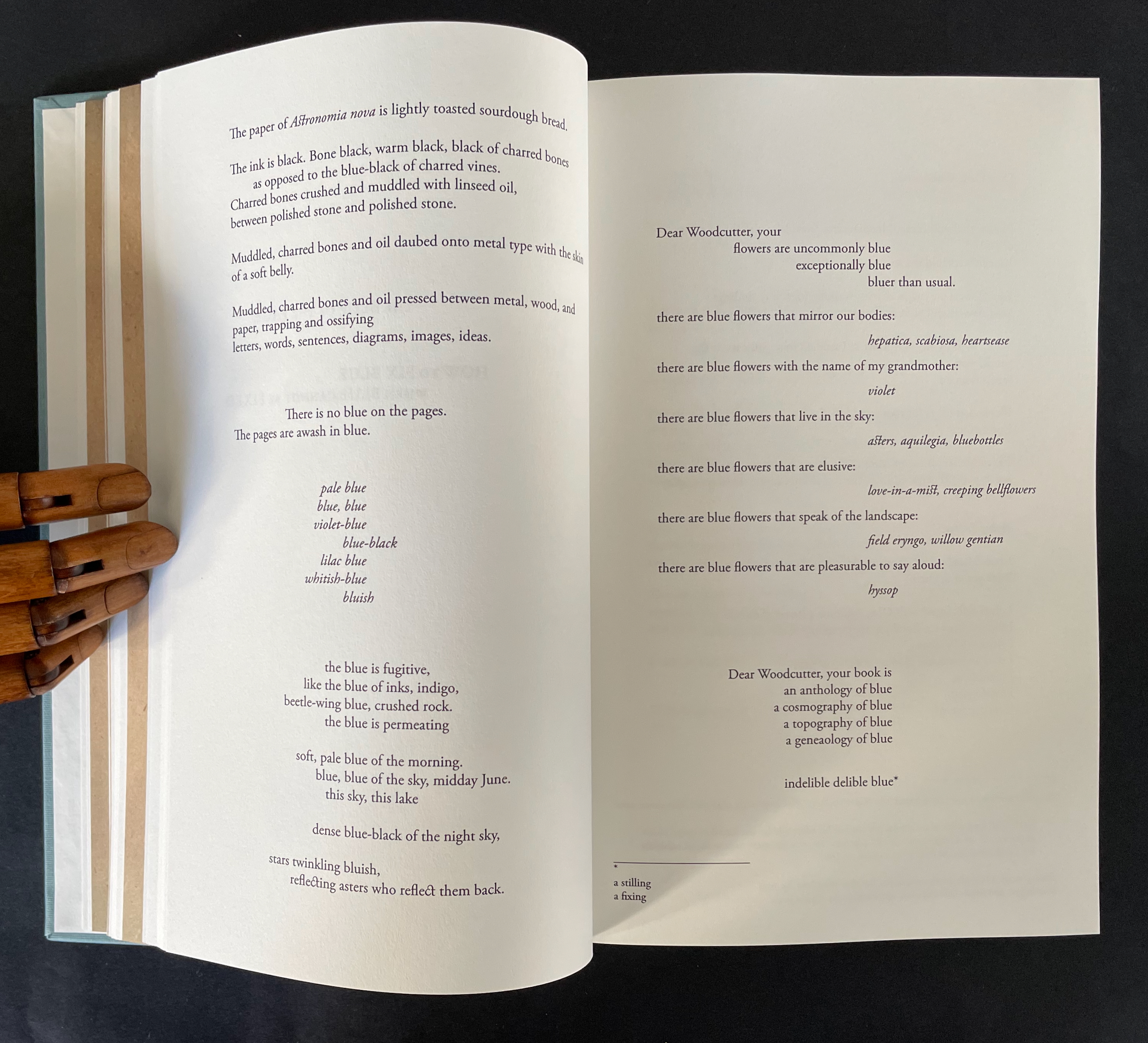 Open book page with poetic text discussing the color blue and flowers, featuring artistic typography and interpretations of color.