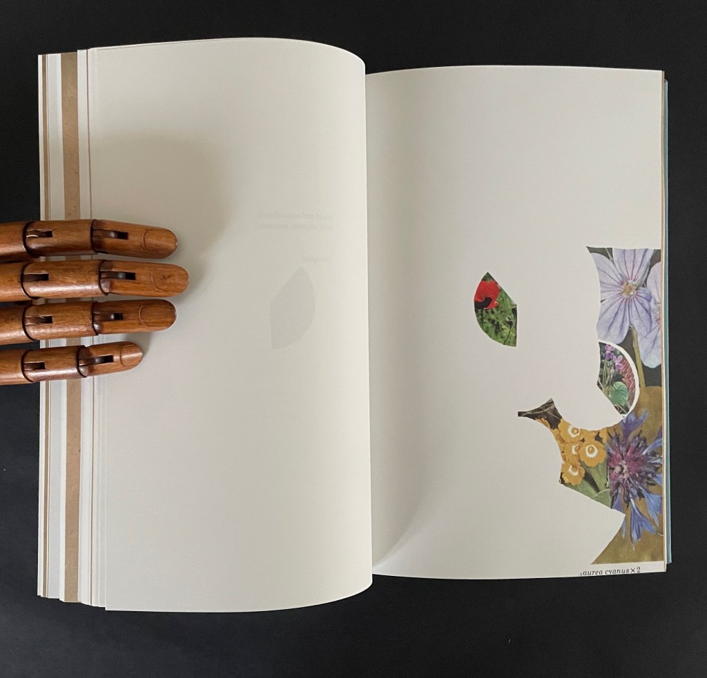 An open book with blank pages, displaying a cut-out silhouette on the right page filled with colorful floral collage elements, with a wooden hand holding the book from the left.