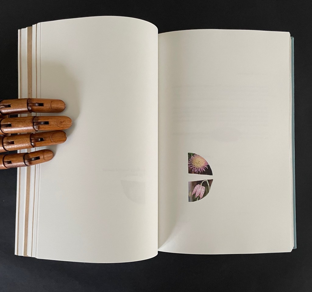 An open book with blank pages and a wooden hand holding it, featuring circular cutouts revealing images of flowers.
