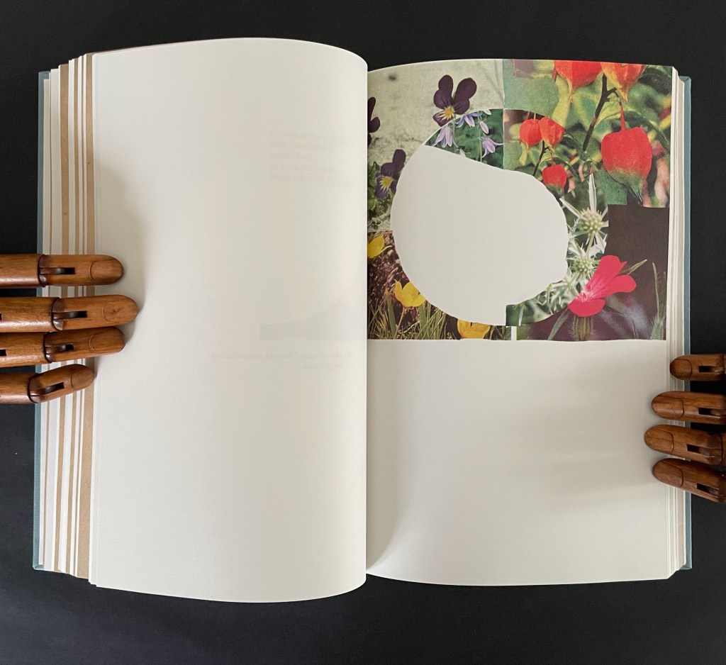 An open book displaying a collage of colorful floral images on the right page, with a cut-out shape revealing a blank space. The left page remains mostly blank, and wooden mannequin hands are positioned on the book.