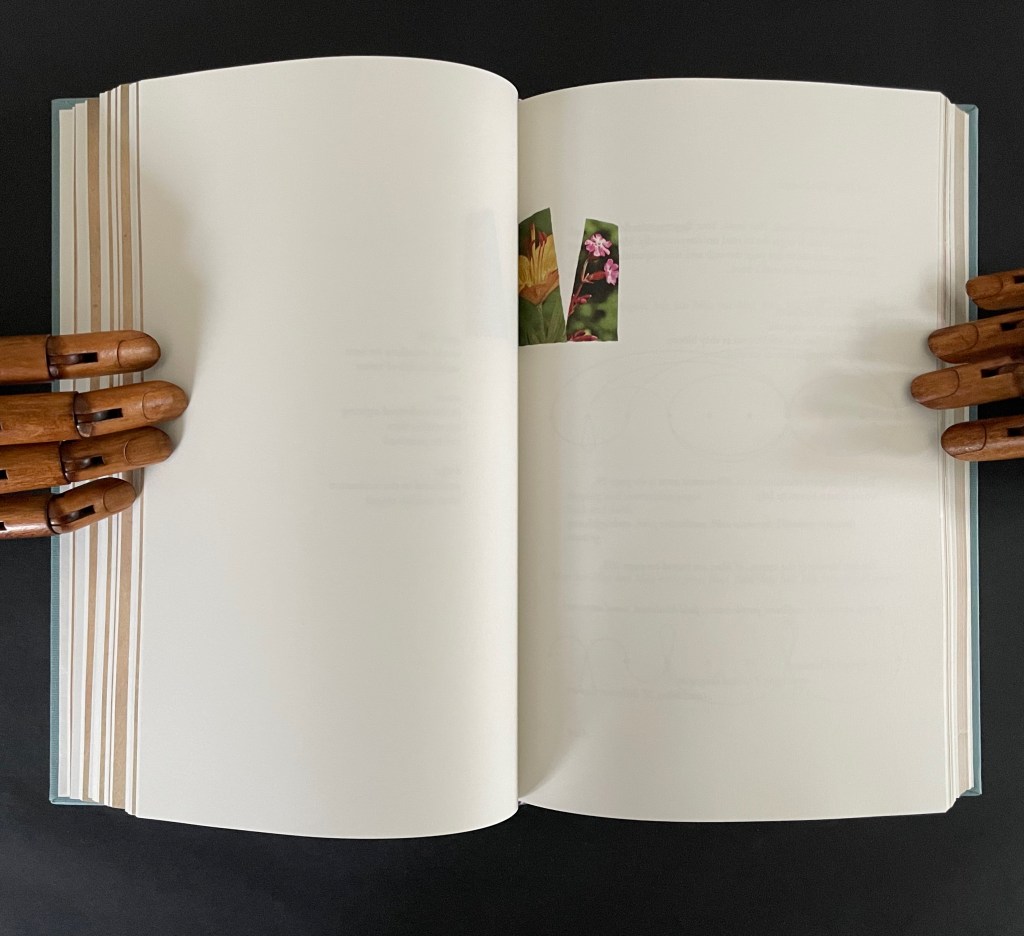 Open book on a black surface, held by wooden hands, with two floral images pasted on the pages.