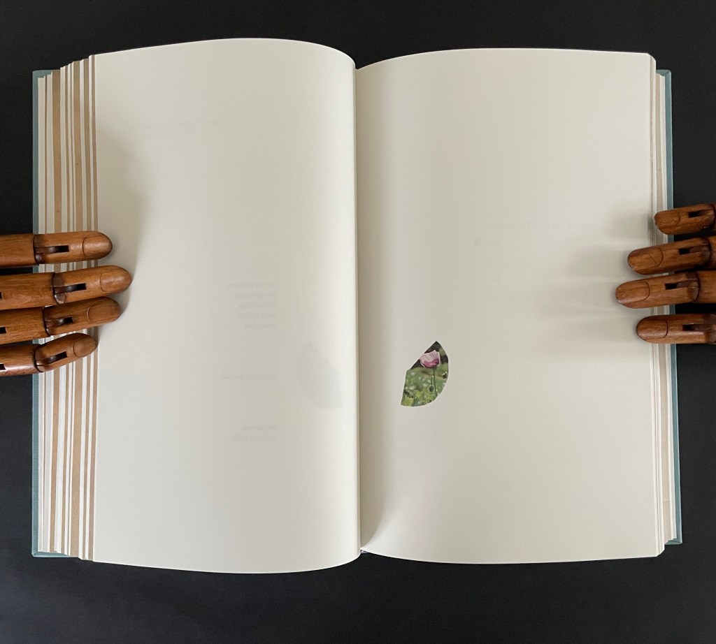 An open book with blank pages held by wooden hands, featuring a cut-out shape revealing a piece of green foliage and a flower.