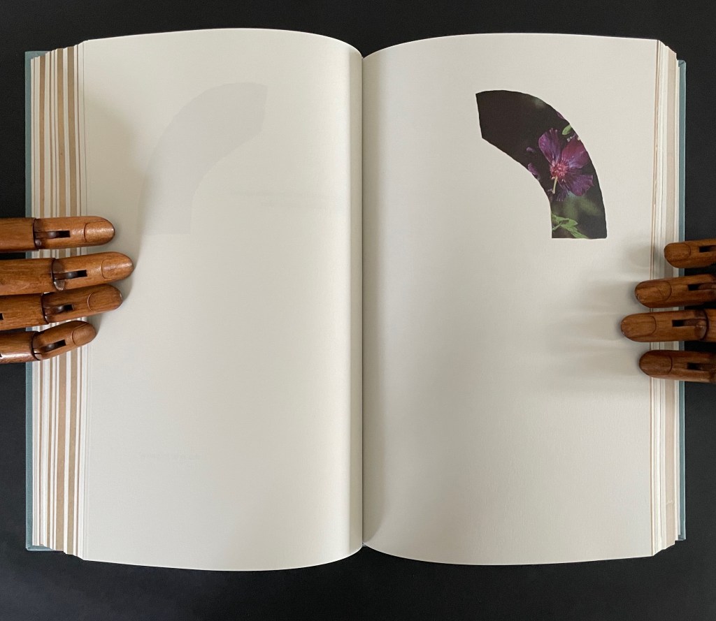 An open book with blank pages held by wooden mannequin hands, featuring a cut-out revealing a dark background with a sprouting flower.
