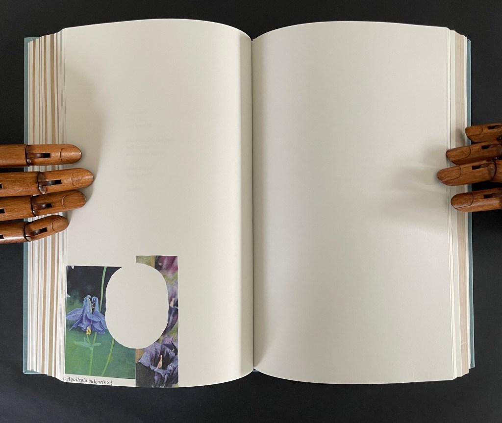 An open book with blank pages, held by a wooden hand model, featuring colorful floral images in a cut-out design on the left page.